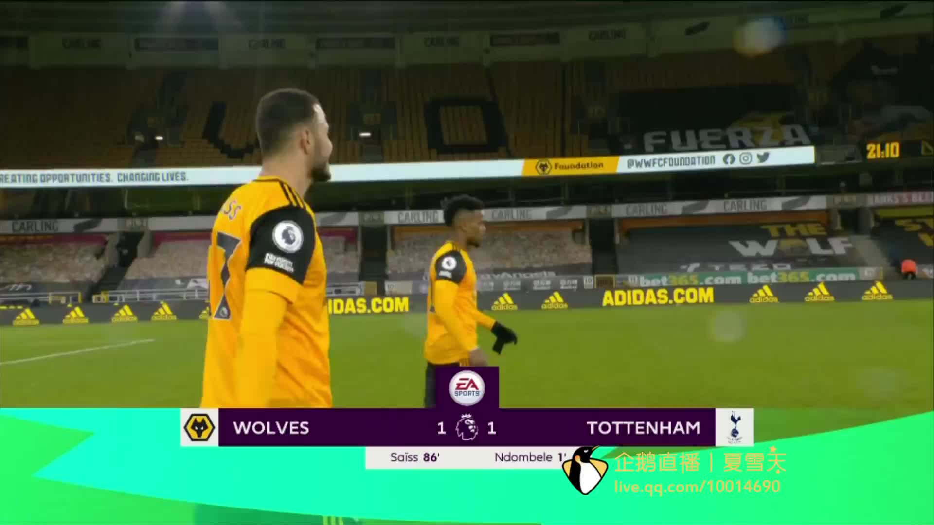 的球迷逐渐 的球迷逐渐